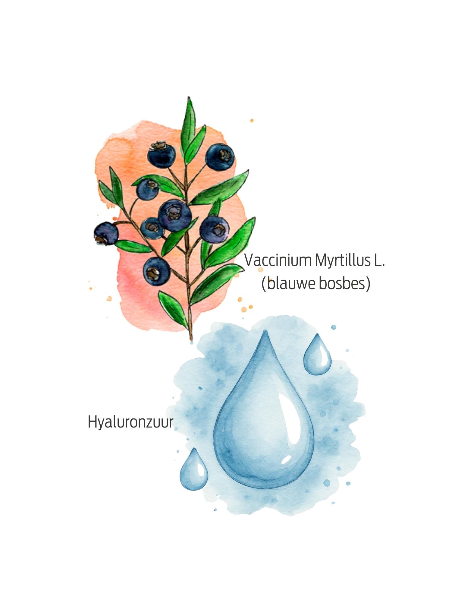 Vermoeide_ogen_oogdruppels_ingredienten_Similasan